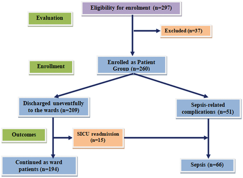 Figure 1. Study flow chart.