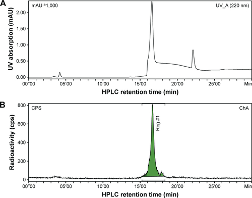 Figure S1 HPLC chromatogram of crude reaction mixture of 89Zr and 8-HQ. 89Zr(8-HQ)4 with retention time of 16.6 min detected by radioactivity detector. HPLC chromatography from UV detector (A); HPLC chromatography from radioactivity detector (B).Abbreviations: HPLC, high-performance liquid chromatography; 8-HQ, 8-hydroxyquinoline; UV, ultraviolet; UV-A, ultraviolet absorption; ChA, chromatography; CPS, counts per second; Reg, region.