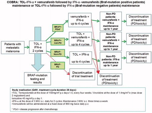 Figure 1. Trial flow chart.