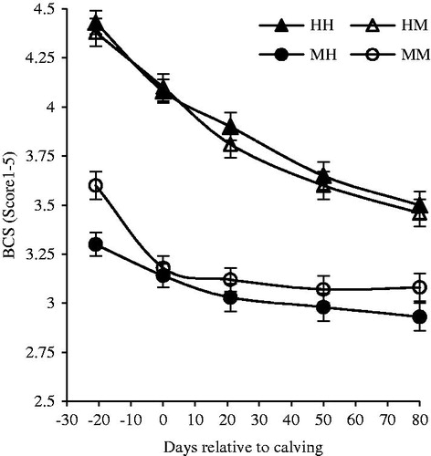 Figure 1. Least square means ± SE of BCS in multiparous Holstein dairy cow. MM: medium BCS and moderate milk yield; MH: medium BCS and high milk yield; HM: high BCS and moderate milk yield; HH: high BCS and high milk yield. Statistically significant (p < .05) effects between the two groups of BCS (medium and high) during before calving (BCS; time); after calving (BCS; time; BCS × time); the entire study (BCS; time; BCS × time).