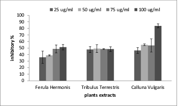Figure 1. The percentage of inhibition in acetylcholine esterase activity in the presence of the tested plant extracts.