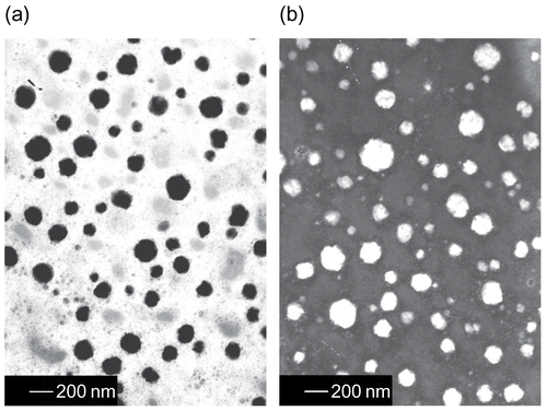 Figure 3.  Transmission electron micrograph of MB-ME and MB-MME. (a) MB-ME; (b) MB-MME.