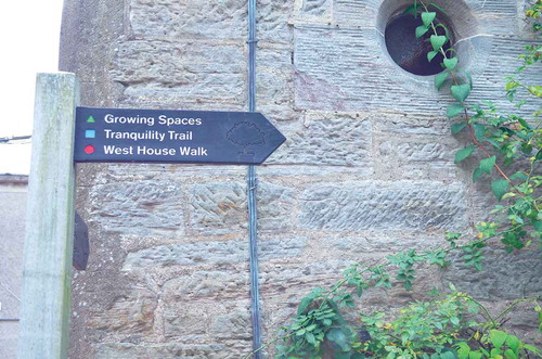 FIGURE 14  Landscaped walks signposted in the hospital grounds. Photo by Hester Parr. (Color figure available online.)