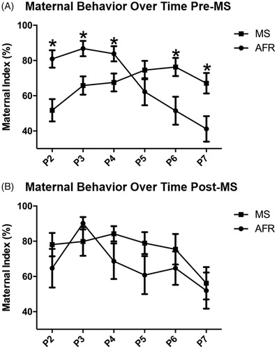 Figure 2. Effects of MS on the daily frequency of maternal care pre-MS and post-MS. Analysis of the maternal index pre-MS throughout the 6 days showed an interaction between days and group, but this effect was not observed post-MS. Pre-MS on PND2, PND3 and PND4 there was an increased number of maternal behaviors in the AFR group when compared to the animals exposed to MS. On PND6 and PND7, the pattern was altered, and the animals in the MS group presented an increased number of maternal behaviors when compared to the AFR group. Post-MS, there was no difference between animals exposed to stress and control group. Data are expressed as mean ± standard error of the mean (SEM), as well as estimated marginal means and confidence interval; AFR: n = 17 e MS: n = 19. Repeated measure ANOVA and Student’s t-test for independent samples *p < .05.
