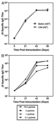 Figure 1. Serum IgG antibody responses to J8 in Balb/c and C3H mice over time. Titers from C3H and Balb/c mice immunized with J8 -CRM197/AAHSA (n = 10) at 12.5μg/dose based on specific peptide content (A). Dose titration of J8-CRM197/AAHSA in Balb/c mice (n = 3), mice were immunized with 12.5, 5, 1 and 0.1 μg /dose, based on J8 peptide content (B).