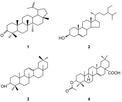 Figure 1.  Chemical structures of compounds isolated from SE 3 fraction of S. ellipticum stem bark extract.