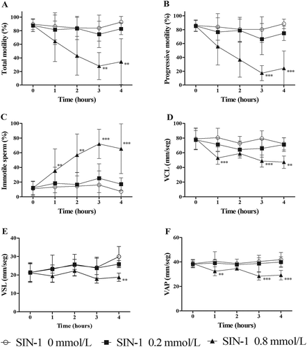 Figure 5. Effect of peroxynitrite on sperm motility. Human spermatozoa were incubated with 0 (untreated control), 0.2 (■), and 0.8 (▲) mmol/L of SIN-1 for up to 4 hours at 37°C. Progressive motility (A), non-progressive motility (B), immotile sperm (C), and kinetic parameters: VCL (curvilinear velocity, D), VSL (straight-line velocity, E), and VAP (average path velocity, F) were analyzed every hour for 4 hours. Values represent the mean ± SD. (**) p ˂ 0.01; (***) p ˂ 0.001 compared with the untreated control within the same time point. SIN-1: 3-morpholinosydnonimine.