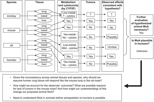 Figure 2.  Overall evaluation of the weight of evidence for the hypothesized naphthalene modes of action in animals.