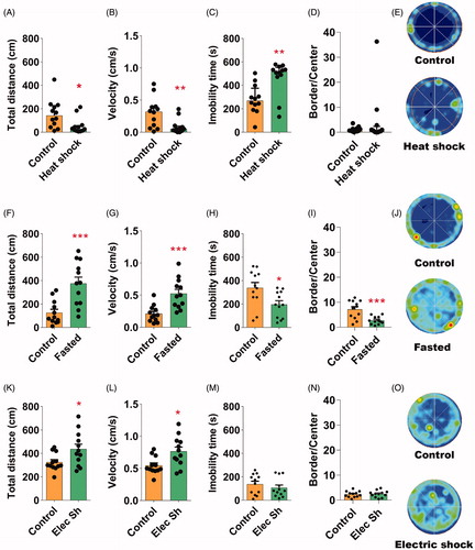 Figure 3. The behavioral phenotype induced by SVS in flies can be dissected by their response to individual stressful stimuli exposition. (A, F and K) Compared with naïve control group, the total distance traveled in 10 min was reduced after heat shock stress (A, one-tailed unpaired M-W) and increased after exposure to fasting (F) or electric shock stress (K). In F and K asterisks indicate significant difference, one-tailed unpaired student’s t-test was used.(B, G, and L) Mean velocity of flies exposed to heat shock stress (B, onetailed unpaired M-W) was significantly lower, however fasting (G) and electric shock increased the velocity (L) if compared with naïve control flies. G and L, one-tailed unpaired student’s t-test was used. (C, H, and M) Total immobility time was increased after heat shock stress (C, one-tailed unpaired M-W), however it was reduced after fasting (H) and it was not altered after exposure to electric shock stress (M) if compared to control groups. H and M, one-tailed unpaired student’s t-test was used. (D, I and N) While heat shock (D, one-tailed unpaired M-W) and electric shock stress (N, one-tailed unpaired student’s t) did not significantly alter the border versus center zones preference, fasting increased the exploration of the center (I-J, onetailed unpaired student’s t) compared to control groups. (E, J, and O) Representative occupancy plots in OF of heat-shocked (E), fasted (J) and electrically shocked flies (O). N = 12 in all groups. In F-E, Bars, means + SEM, In A-D Bars indicates medians + IQR. *p < 0.05, **p < 0.01, ***p < 0.001 as compared to control group.