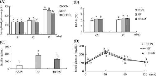 Fig. 3. Effect of dietary isoflavone mixture on the fasting blood glucose (A), serum HbA1c (B), insulin (C), and OGTT (D) levels.Notes: Each value is expressed as the mean ± SEM. n = 5–7 for each group. Values without a common letter differ significantly (p < 0.05). CON, basal diet group; HF, high-fat diet group; and HFISO, high-fat diet group with isoflavone mixture.