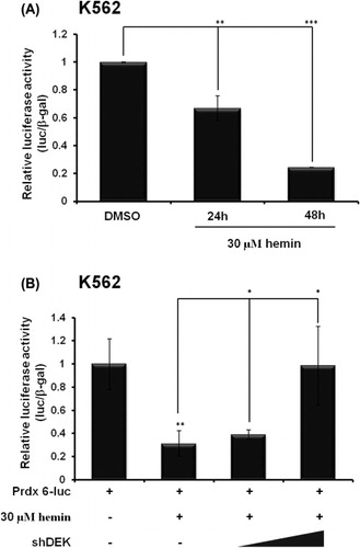 Figure 2. DEK negatively regulates Prdx 6 transcription during leukemia cell differentiation. (A) K562 cells were transfected with Prdx 6-luc and hemin (30 µM) was treated for indicate time points. Cell extracts were assayed for luciferase activity. Luciferase activities were normalized to those of β-galactosidase. Results are shown as means ± SDs; n = 3. **P < 0.01; ***P < 0.001. (B) K562 cells were transfected with Prdx 6-luc and shDEK. Hemin (30 µM) was treated for indicated time points. Cell extracts were assayed for luciferase activity. Luciferase activities were normalized to those of β-galactosidase. Results are shown as means ± SDs; n = 3. **P < 0.01; *P < 0.05.