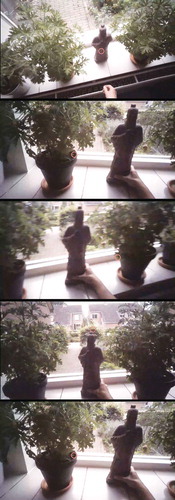 FIGURE 19  Compulsive ordering: A participant in Diana Beljaars’s doctoral research has to align the statue with the flowerpots in the windowsill and the leaves of the small tree behind it in her front yard and with the transition line between two tiles. Photo is a still from an eye-tracking video recording owned by Diana Beljaars. (Color figure available online.)