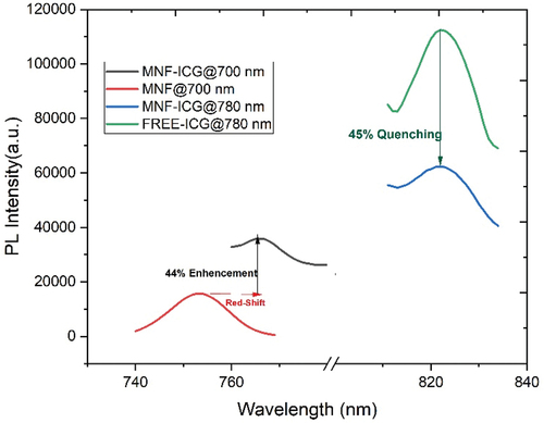 Figure 6. Fluorescence spectra of MNF and MNF-ICG hybrids at equal MoS2 concentrations.