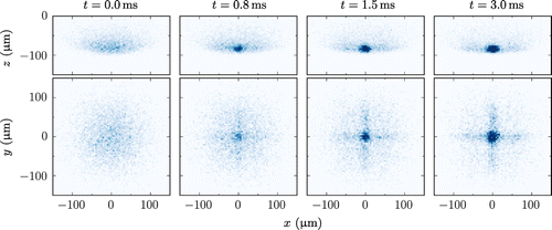 Figure 8. Theoretical nMOT dynamics of the simulated crossed FORT with a trap depth of 5μK. The top and bottom row shows a theoretical absorption image in the x^-z^ and x^-y^ plane, respectively. All images in each row have the same colour-scale in order to show particle dynamics.