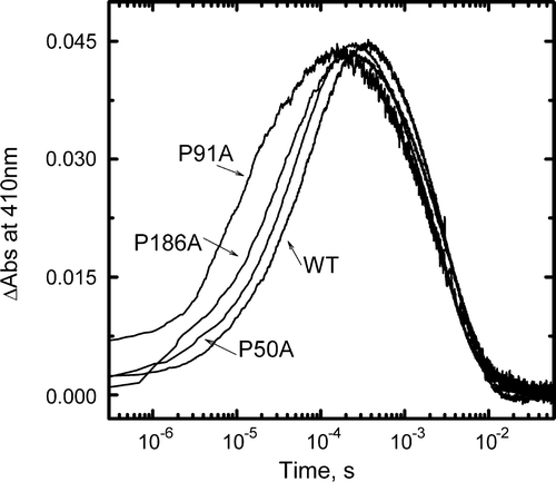 Figure 3.  Kinetics of M formation and decay. Changes in absorbance at 410 nm of WT, P50A, P91A and P186A suspensions in 1M KCl, pH 6.5 at room temperature after a ns laser flash were averaged and plotted as a function of time. The time constants of M rise (τave) were: WT 60 µs, P50A 45 µs, P91A 7 µs and P186A 35 µs.