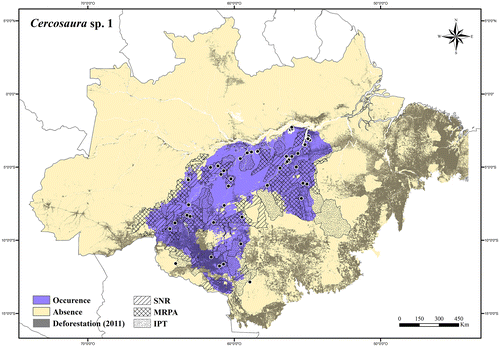 Figure 38. Occurrence area and records of Cercosaura sp. 1, showing the overlap with protected and deforested areas.