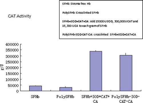 Figure 10. catalase activity of SFHb, PolySFHb, SFHb+SOD+CAT+CA and polySFHb-SOD-CAT-CA. SOD (1050 units/mL), catalase (21,000 units/mL), and carbonic anhydrase (1070 units/mL) were added to stroma-free hemoglobin (7 g/dl), then polymerized into PolySFHb-SOD-CAT-CAT, resulting in an Hb:CAT ratio of 1g: 130,000U after crosslinking.