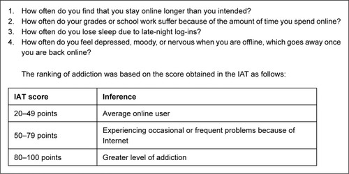 Figure 1 IAT scale sample items in questionnaire.
