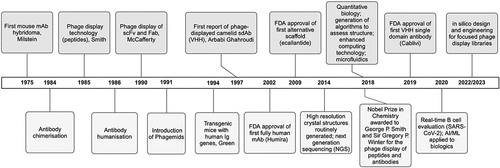 Figure 1. Protein-based biologics phage display timeline. This schematic shows a historical timeline of peptide, antibody, and alternative scaffold discovery with an emphasis on phage display where key events in antibody platform developments are highlighted, including the first approvals of phage-derived therapeutic protein-based biologics. Examples of the emergence and implementation of disruptive technologies that have radically accelerated drug discovery process are also indicated. Created with BioRender.com.