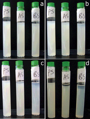 Figure 8. Visual observations of sedimentation of nanosepiolite in ethanol (a) immediately after mixing, (b) after four days, (c) after one week and (d) after one month.