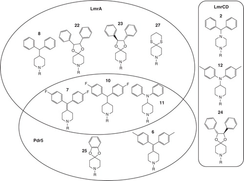 Figure 5. Schematic summary of the zosuquidar derivatives that displayed the most prominent effect on transport of LmrA, LmrCD and Pdr5. Substances were grouped by circles or a box according to the ABC transporter for which they showed the most prominent effect to highlight the partial overlap between the substrate binding sites of LmrA and Pdr5.