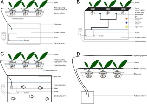 Figure 2. Schematic view of different types of indoor farming. (A) Hydroponics, (B) Aeroponics, (C) Aquaponics, (D) In soil growth with watering system on the soil or by spraying the leaves.