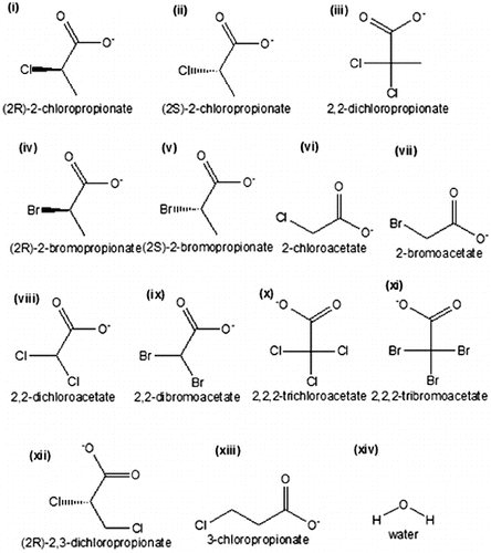 Figure 5. Chemical sketch of halogenated compounds and water molecule: (i) (2R)-2-chloropropionate (D-2CP); (ii) (2S)-2-chloropropionate (L-2CP); (iii) 2,2-dichloropropionate (2,2-DCP); (iv) (2R)-2-bromopropionate (D-2BP); (v) (2S)-2-bromopropionate (L-2BP); (vi) 2-chloroacetate (MCA); (vii) 2-bromoacetate (MBA); (viii) 2,2-dichloroacetate (DCA); (ix) 2,2-dibromoacetate (DBA); (x) 2,2,2-trichloroacetate (TCA); (xi) 2,2,2-tribromoacetate (TBA); (xii) (2R)-2,3-dichloropropionate (D,L-2,3-DCP); (xiii) 3-chloropropionate (3CP); (xiv) water molecule.