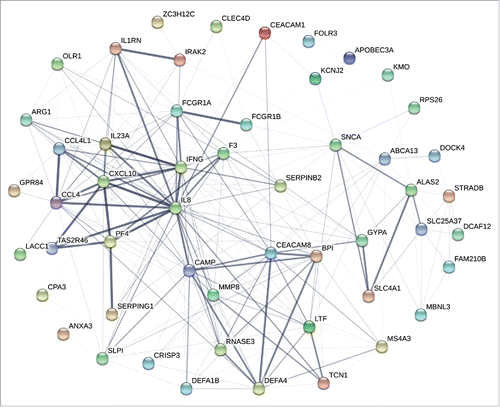 Figure 2. Interaction networks of proteins derived from differentially expressed coding RNAs. STRING database (http://string-db.org/) was used to assess the integration of protein-protein interactions. All DEGs discovered from each time point were analyzed for the interaction of encoded proteins. The numbers of lines represented the closeness of these proteins. Line thickness indicates the strength of data support from the database.