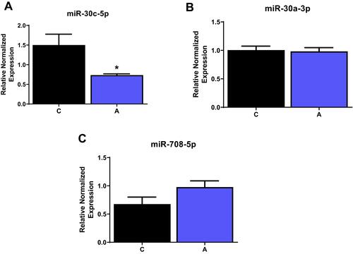 Figure 7 Alterations in microRNAs associated with ER stress. INS-1E cells were treated with Ang II, and levels of different miRNAs were measured. (A) miR-30c was reduced while (B) miR-30a and (C) miR-708 was unaltered in the presence of Ang II. Data are presented as mean ± SEM (n=3). *p<0.05.