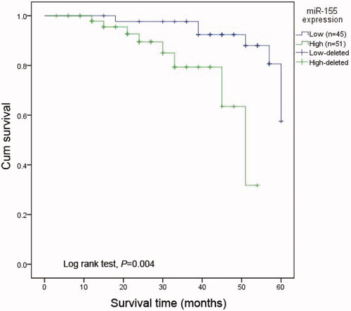 Figure 4. Kaplan-Meier analysis for the overall survival of patients with ESCC according to the expression of miR-155. Patients with high miR-155 expression had shorter overall survival than those with low expression. Log rank test proved that the difference was significant (p < .01).