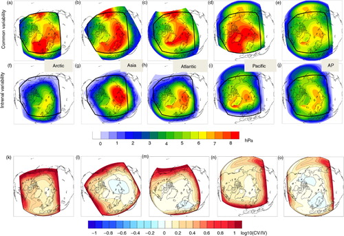 Fig. 11 Mean DJF common (upper row) and internal (centre row) sea level pressure variability. The black polygon indicates the common area of all the five coupled domains. Lower row: log10 of relative variability [common (CV) divided by internal (IV)].