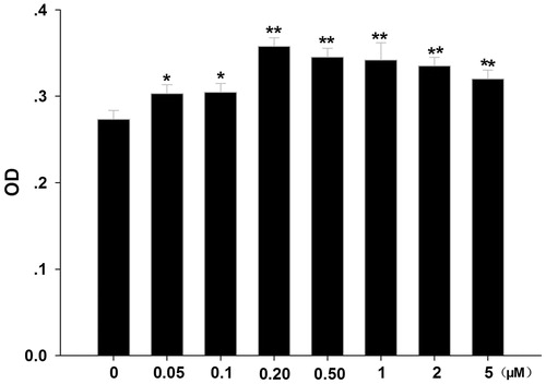 Figure 1. Effects of formononetin on CNE2 cell proliferation. CNE2 cell numbers were significantly increased by low concentrations of formononetin (0.05, 0.1, 0.2, 0.5, 1, 2 and 5 μM) treatment. OD, optical density. *p < 0.05 versus control, **p < 0.01 versus control; n = 11.