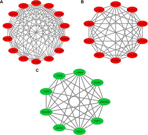 Figure 3 Protein–protein interaction network of DEGs in (A) Module 1, (B) Module 2, and (C) Module 3. Green nodes present downregulated genes in EAC tissue. Red nodes present upregulated genes in EAC tissue.