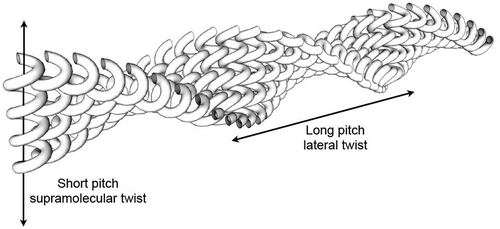 Figure 20. Helical fibres packing together to give a superstructure with long pitch.