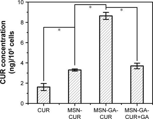 Figure 8 Cellular uptake of different CUR-loading formulations after 4 h of co-incubation at 37°C.Notes: The CUR concentration was measured by HPLC. *P<0.01.Abbreviations: CUR, curcumin; GA, glycyrrhetinic acid; HPLC, high-performance liquid chromatography; MSN, mesoporous silica nanoparticle.