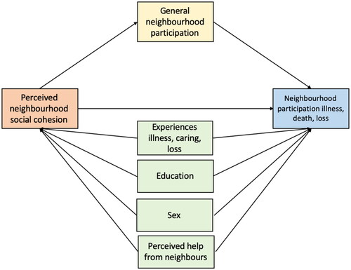 Figure 1. Simplified Directed Acyclic Graph of perceived neighborhood social cohesion and neighborhood participation regarding serious illness, death, and loss.