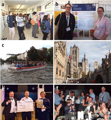 Figure 3. a. Stimulating discussions at the EurBee poster sessions. b. Bee World Editor Robert Brodschneider and Editorial Board Member Maja Smodiš Škerl with the poster celebrating the centenary of Bee World in 2019. c. The social program included a trip on the canals. d. The famous “three towers of Ghent.” e. Organizers Dirk de Graaf and Lina de Smet hand over the Prof. Norberto Milani Award for best oral student presentation and a copy of Bee World to Robert Paxton for his student Belinda Kahnt. f. EurBee President Dirk de Graaf is congratulated by delegates including Fani Hatjina and Richard Jones (All photos except e: Norman Carreck, e: EurBee).