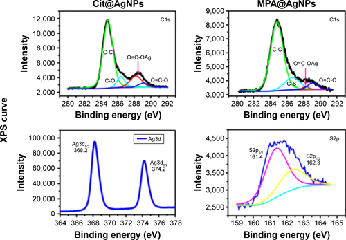 Figure S2 XPS spectrum of AgNPs with four surface ligands, including Cit, MPA, MHA, and MPS.Abbreviations: AgNPs, silver nanoparticles; Cit, citrate; MPA, mercaptopropionic acid; MHA, mercaptohexanoic acid; MPS, mercaptopropionic sulfonic acid; XPS, X-ray photoelectron spectroscopy.