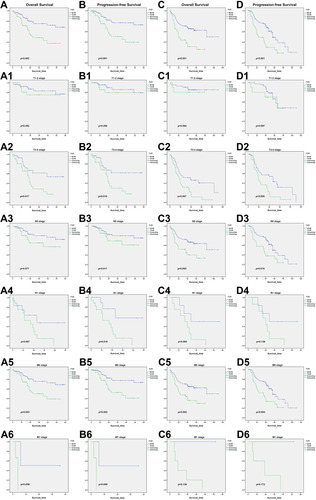 Figure 2 Kaplan–Meier curves of overall survival (OS) and progression-free survival (PFS) based on fibrinogen–albumin ratio (FAR) value in training and validation sets. (A) OS curve in training set; (B) PFS curve in training set; (C) OS curve in validation set; (D) PFS curve in validation set.
