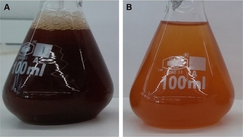 Figure 1 Synthesis of ZnO NPs: (A) Albizia lebbeck aqueous extract; (B) ZnO NPs.Abbreviation: ZnO NPs, zinc oxide nanoparticles.