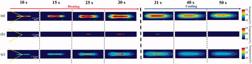 Figure 9. Time series of (a) 45–55 °C and (b) 55–65 °C ranges of the temperature distribution, which were derived from the flipped optical images of the lower (Figure 8(b)) and upper (Figure 8(c)) layers and (c) wider range (45–65 °C) of the two-dimensional (2-D) temperature distribution by capturing the maximum distribution over the two temperature distributions of the lower and upper layers.