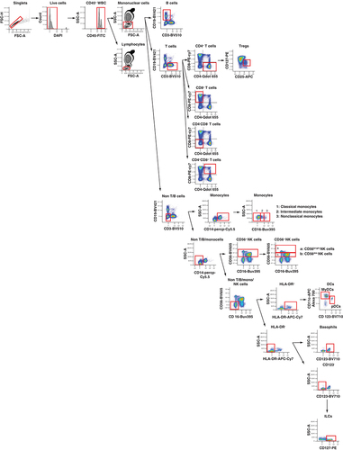 Figure 1. Flow cytometry panel from human peripheral blood.After obtaining the sample, the red cells underwent lysis. The 14-color panel was performed on whole blood cells. Subpopulations of peripheral immune mononuclear cells (T cells, CD4+ T cells, CD8+ T cells, CD4−CD8− T cells, CD4+CD8+ T cells, Tregs, B cells, NK cells, ILCs, basophils, MyDCs, pDCs, monocytes, classical [CD14+CD16−], intermediate [CD14+CD16low] and nonclassical [CD14+CD16hi] monocytes) were identified. The cellular gating depicted is representative of one healthy individual sample.DC: Dendritic cell; FSC-A: Forward scatter area; FSC-H: Forward scatter height; HLA-DR: Human leukocyte antigen DR; ILC: Innate lymphoid cell; MyDC: Myeloid dendritic cell; NK: Natural killer; pDC: Plasmacytoid dendritic cell; SSC: Side scatter; Treg: Regulatory T cell; WBC: White blood cell.