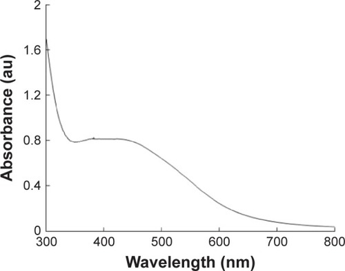 Figure 1 The absorption spectrum of AgNPs synthesized by Bacillus mycoides culture supernatant.Note: The absorption spectrum of AgNPs exhibited a strong broad peak at 426 nm, which is assigned to surface plasmon resonance of the particle.Abbreviations: AgNPs, silver nanoparticles; au, arbitrary unit.