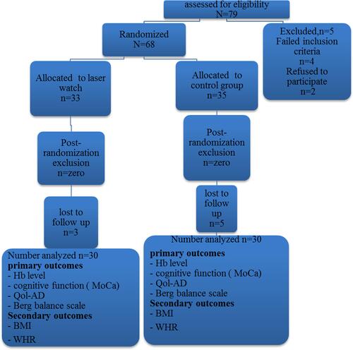 Figure 1 Flow chart for the participants through the study showing out of 79, only 60 patients accomplished the procedures of the study.