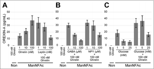 Figure 3. Acute response of ManNFAc-treated cells to neural and peripheral metabolic signals. (A-C) Responses of ManNFAc-treated cells to metabolic signals. The cells were incubated for 3 h with various doses of ghrelin, leptin (A), GABA, Neuropeptide Y (NPY) (B), and glucose (C). OREXIN-A in the medium was evaluated using an ELISA. Means ± SD (n = 3). Non, non-treated neural cell. Responses of ManNAc-treated cells are shown in Fig. S2.