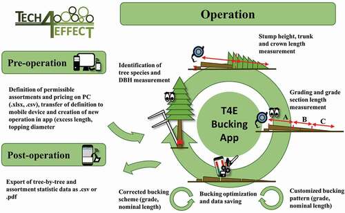 Figure 1. Function diagram of the T4E Bucking App