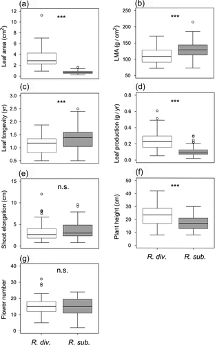 Figure 4. Comparisons of morphological and performance traits between Rhododendron diversipilosum and Rhododendron subarcticum at the fellfield habitat: (a) individual leaf area, (b) leaf mass per area (LMA), (c) leaf longevity, (d) annual leaf production in dry weight, (e) annual shoot elongation, (f) plant height, and (g) flower number per inflorescence. ***p < .001, n.s. = not significant.