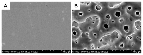 Figure 7 Scanning electron microscopic images of the surface morphology of commercially pure titanium (A) before and (B) after microarc oxidation.