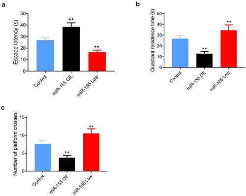 Figure 3. Effects of miR-155 on spatial learning and memory in mice in the Morris water maze test. (a) Mean escape latency of reaching the submerged platform in the training period. (b) Quadrant residence time. (c) Number of platform-site crossover. 10 mice in each group. MiR-155 OE, miR-155 overexpression. **P < 0.01 vs. Control group
