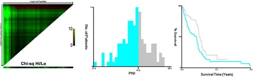 Figure 1. X-tile analyses of OS were performed using patients’ data to determine the optimal cutoff values for PNI and the optimal cutoff value for PNI was 44.